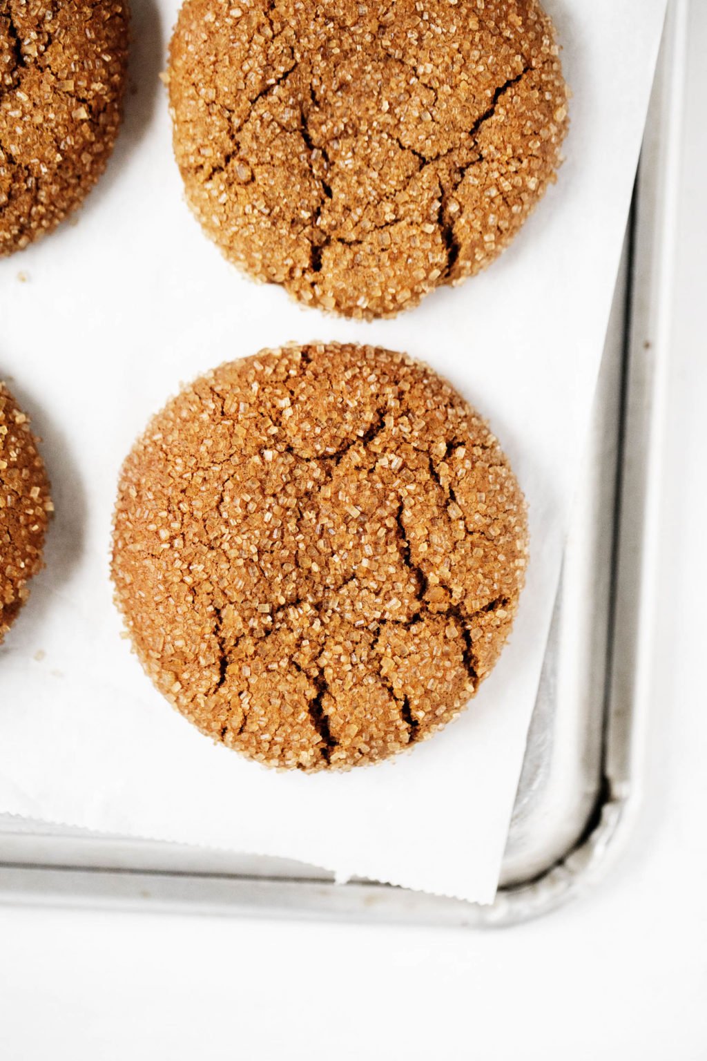 A baking sheet is lined with parchment and scattered with vegan molasses ginger cookies.
