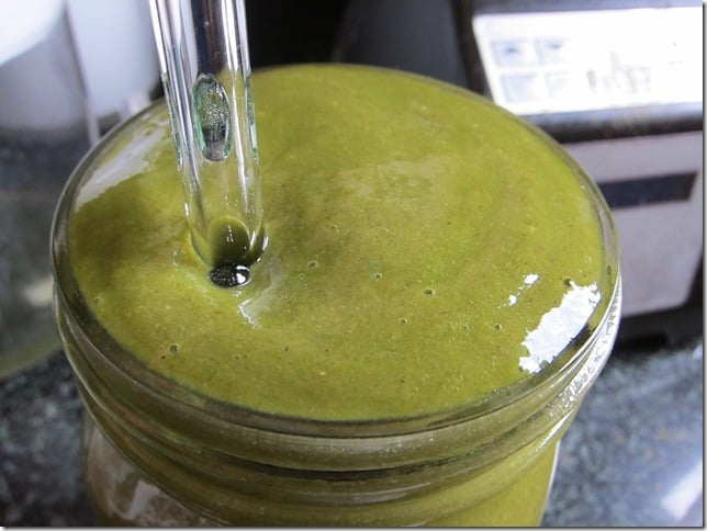 green smoothie top