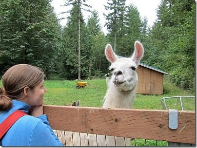 me with llama