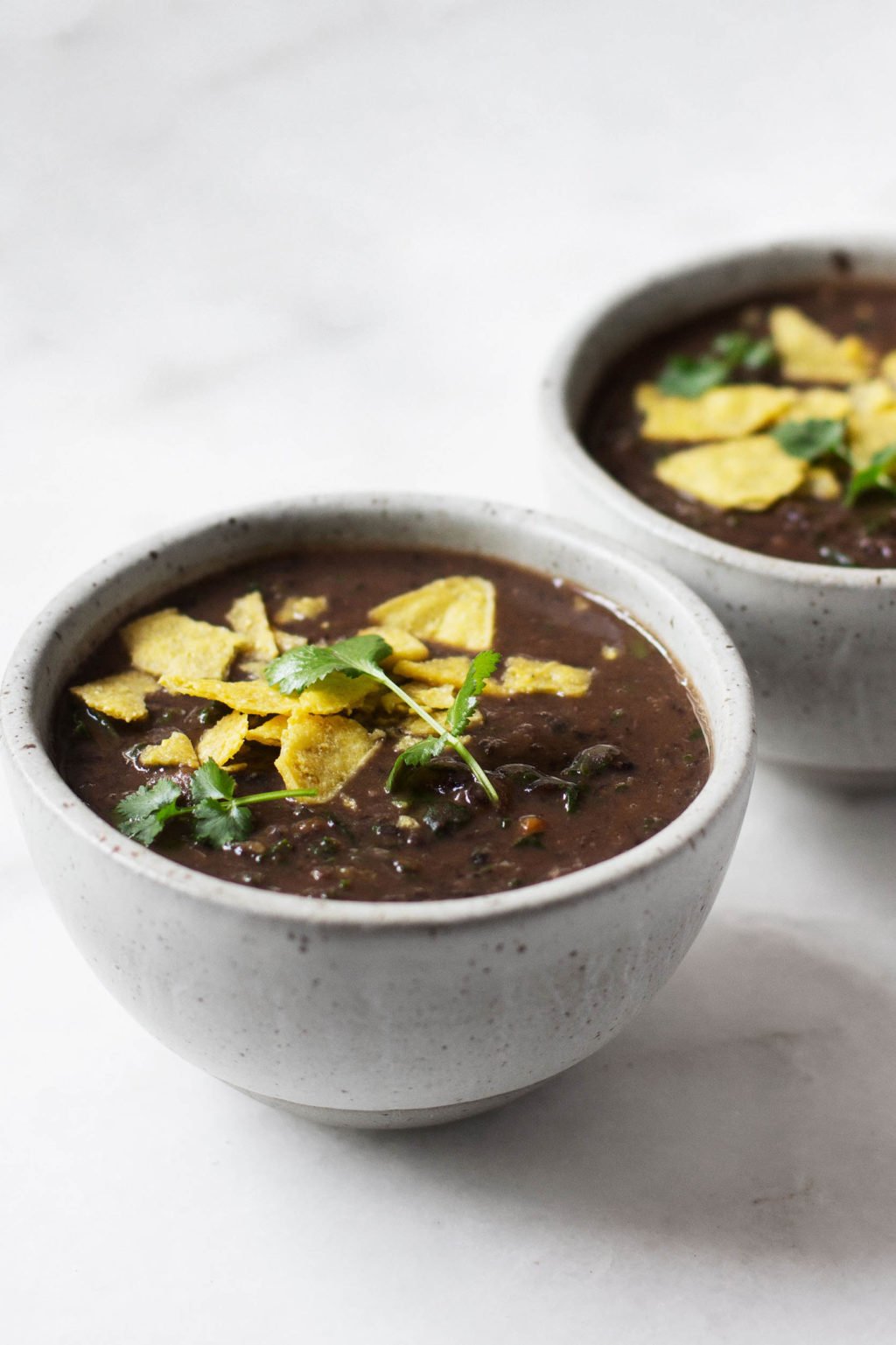 A zoomed in photograph of a vegan black bean soup, prepared with kale and garnished with herbs and corn chips.