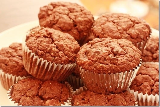 Gluten Free, Vegan Double Chocolate Chia Chip Muffins