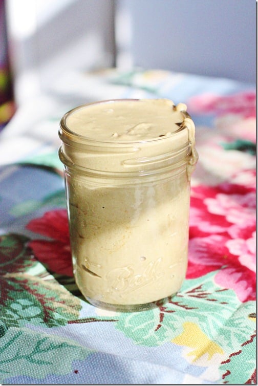 Homemade, Salt-Kissed Vanilla Sunflower Seed Butter