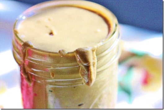 Homemade, Salt-Kissed Vanilla Sunflower Seed Butter