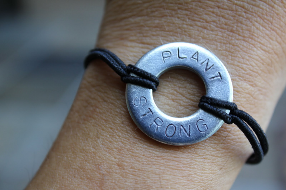 Nigella Lawson and Gillian McKeith A Challenge and an Opportunity The Full Helping