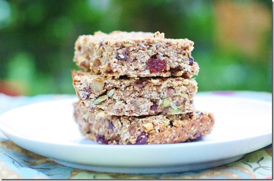 Vegan Oatmeal Raisin Snack Bars