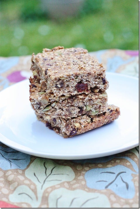 Vegan Oatmeal Raisin Snack Bars