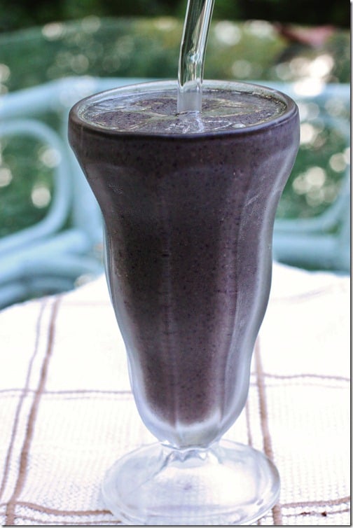 blueberry hemp shake