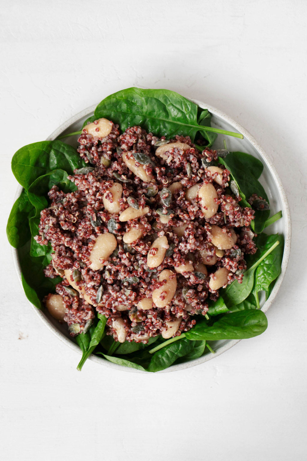 A red quinoa bean salad has been piled on top of a bed of baby spinach. It's held by a white rimmed salad plate.