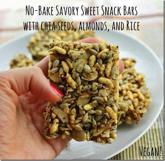 no bake savory sweet bars vegan