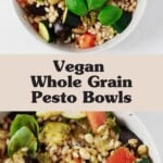 Cooked barley and colorful roasted summer vegetables have been mixed together with pesto sauce.