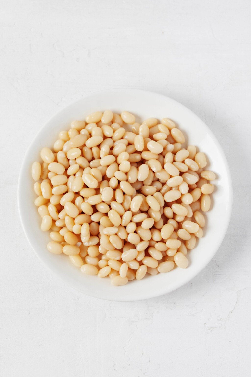 Cannellini beans are pictured overhead on a round, white plate, resting on a white surface.