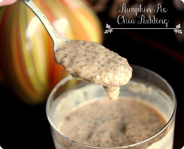 pumpkin-pie-chia-pudding_thumb