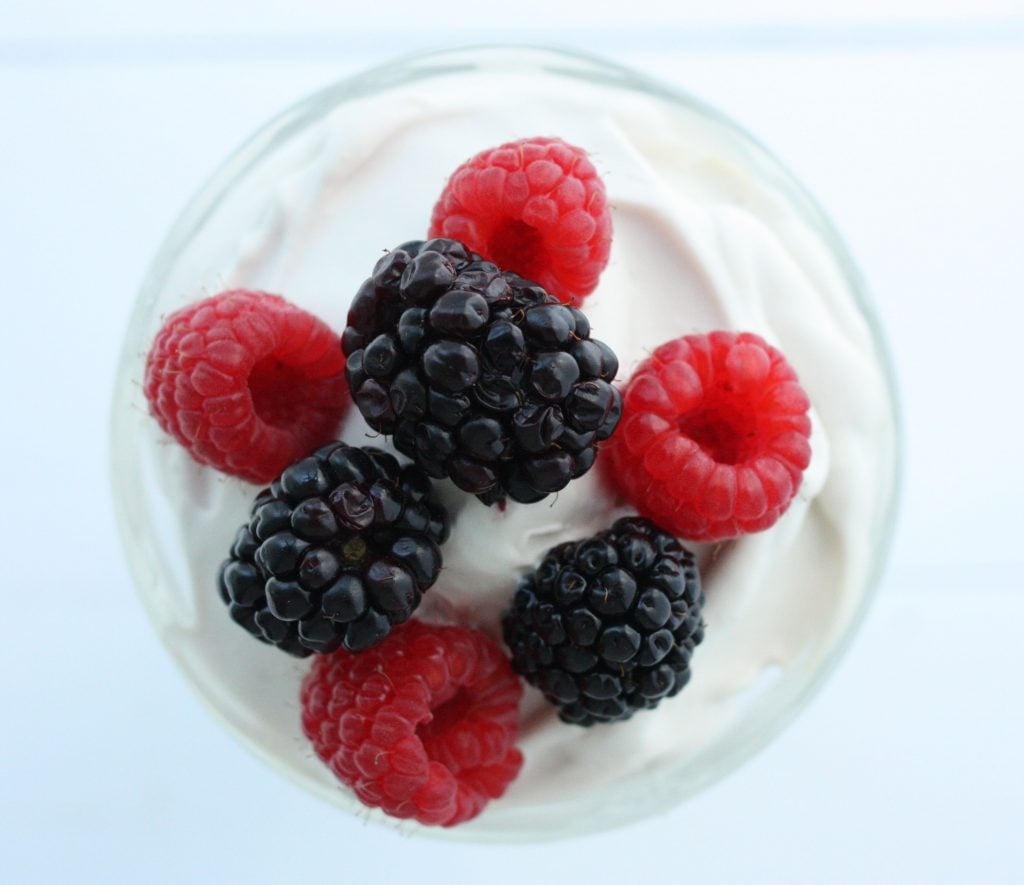 Homemade coconut milk yogurt close up