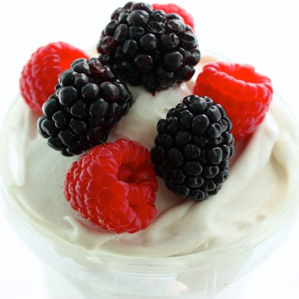 Easy, Homemade Coconut Milk Yogurt The Full Helping