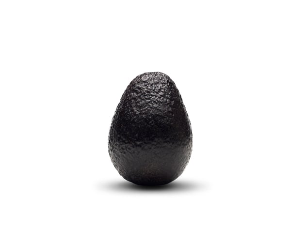 Single Avocado