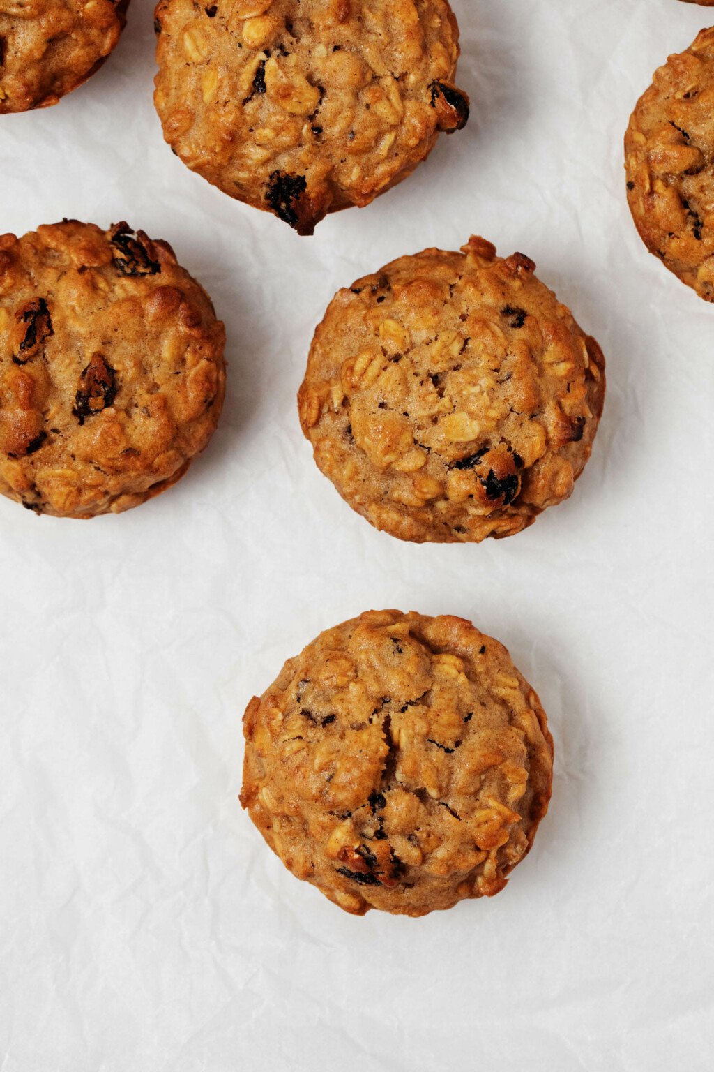 Small oat cakes, studded with raisins, rest on white parchment.