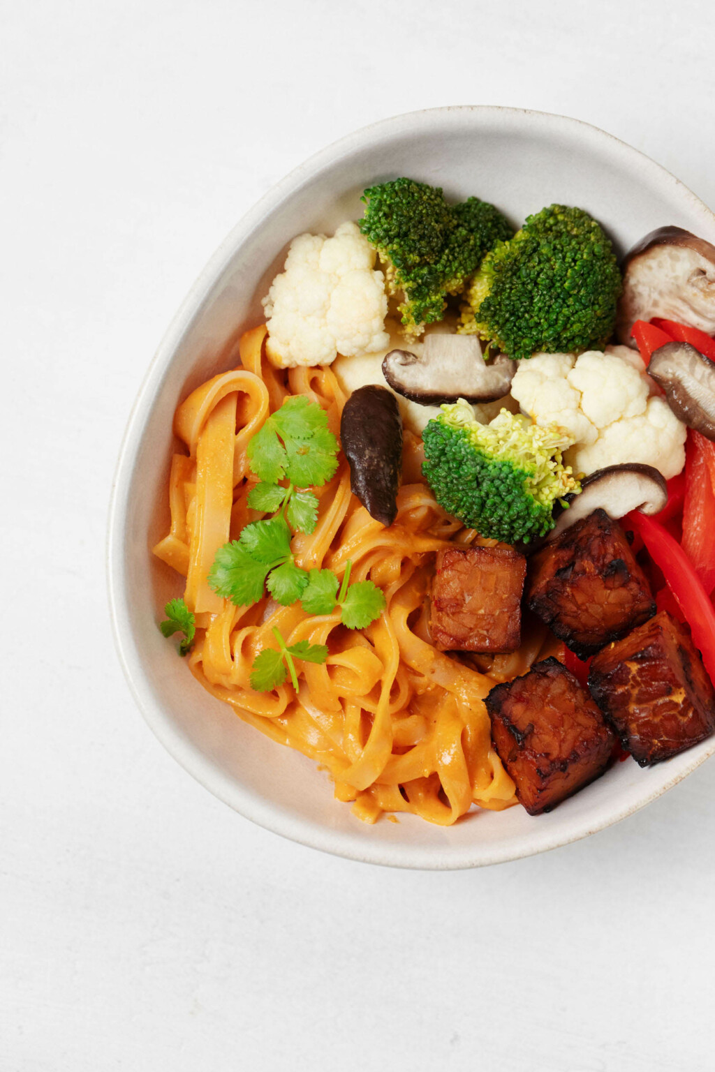 An overhead image of red curry noodle bowls with vegetables and tempeh, that have been garnished with cilantro.