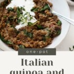 A bowl holding quinoa and lentils, topped with a white cashew cream, is placed next to a gray and white napkin and a small pinch pot of herbs.