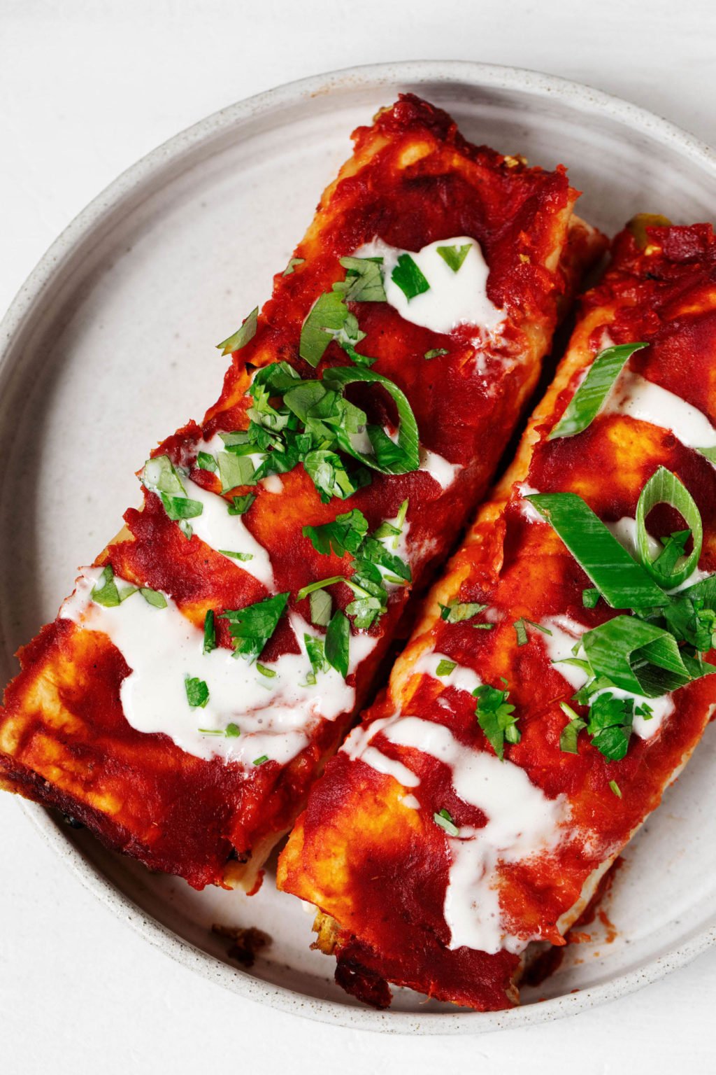 A zoomed in, overhead image of two stuffed flour tortillas and red sauce. They're garnished with herbs and served on a round white plate.