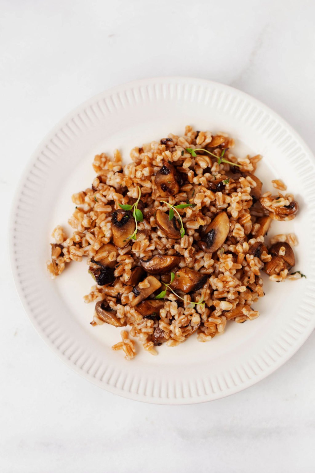 A simple mixture of whole grains and vegetables has been plated with fresh herbs. It rests on a white marble surface.