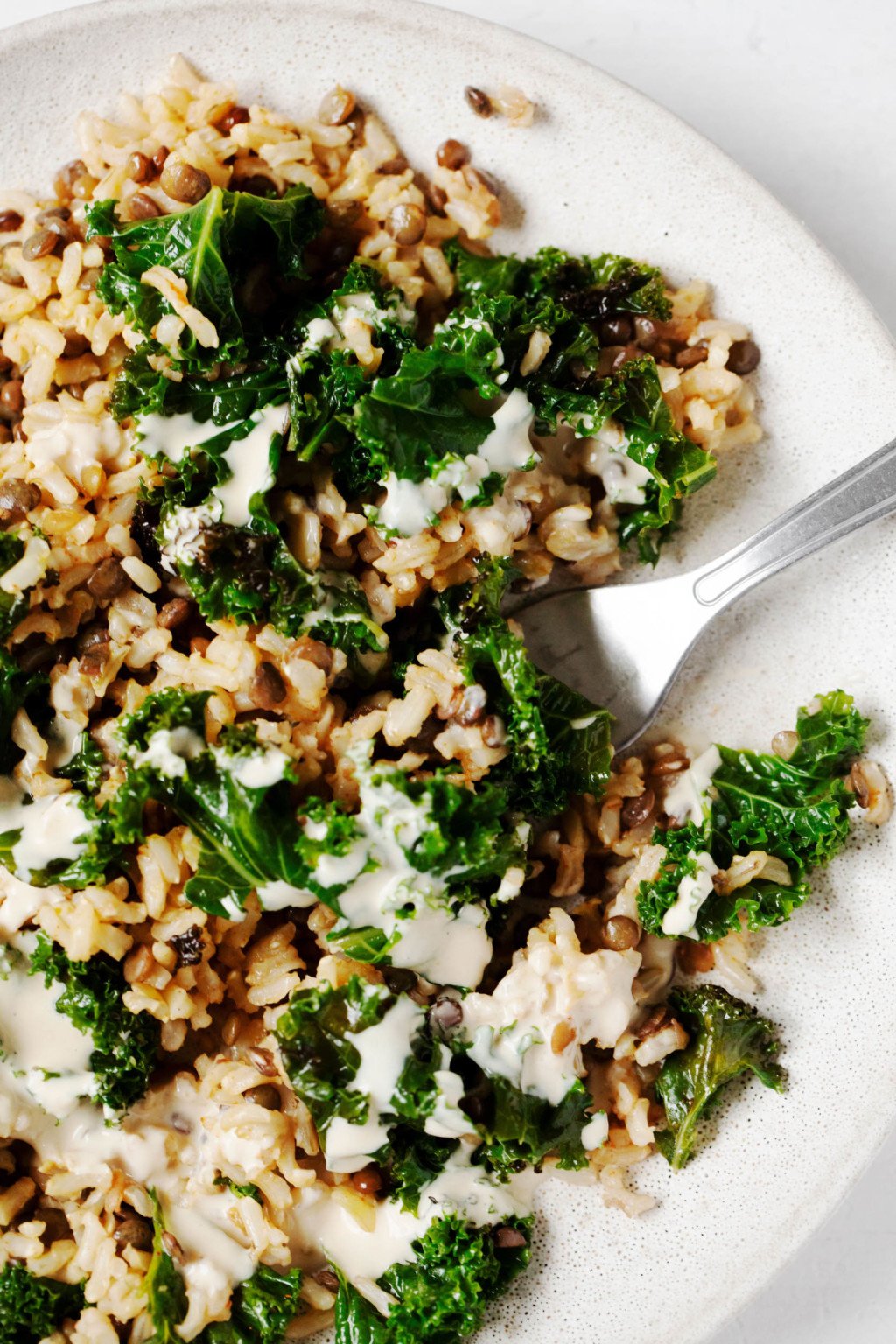 A close-up image of cumin-spiced lentils and rice, which have been mixed with steamed kale and topped with a tahini sauce.