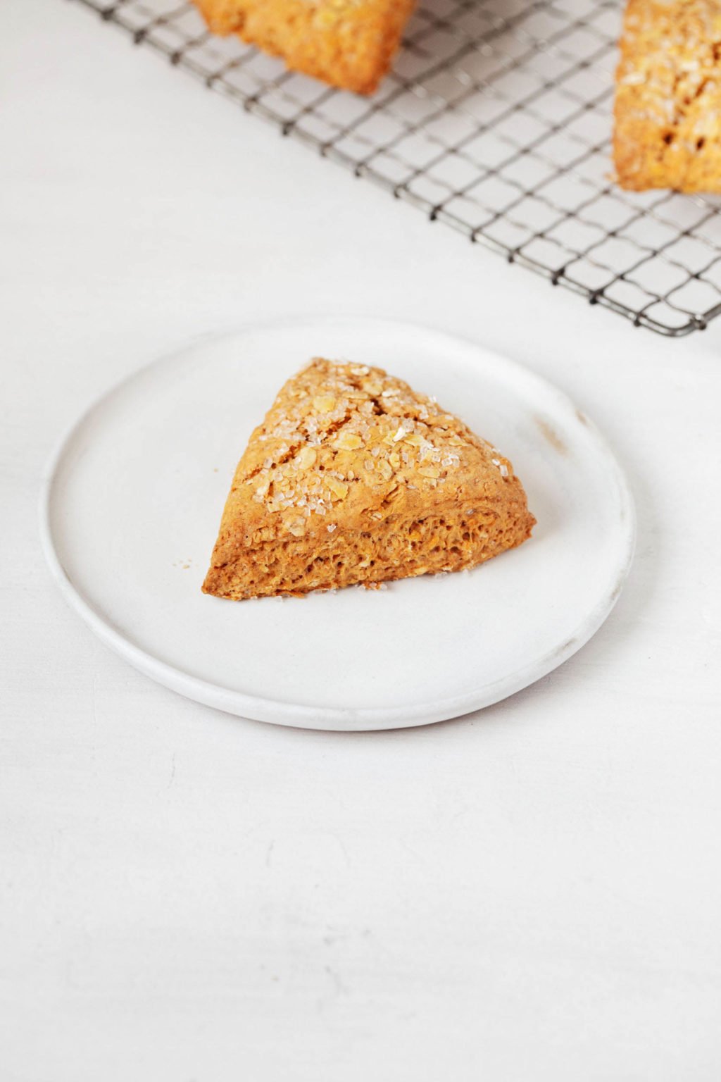 An angled image of a vegan baked good, which rests on a small dessert plate. There's a wire cooling rack in the background.