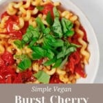 An overhead image of a plate of long fusilli, basil, and burst cherry tomatoes.