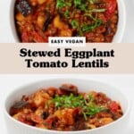 An overhead image of stewed tomatoes, eggplant, and lentils, topped with chiffonade of fresh green herbs.