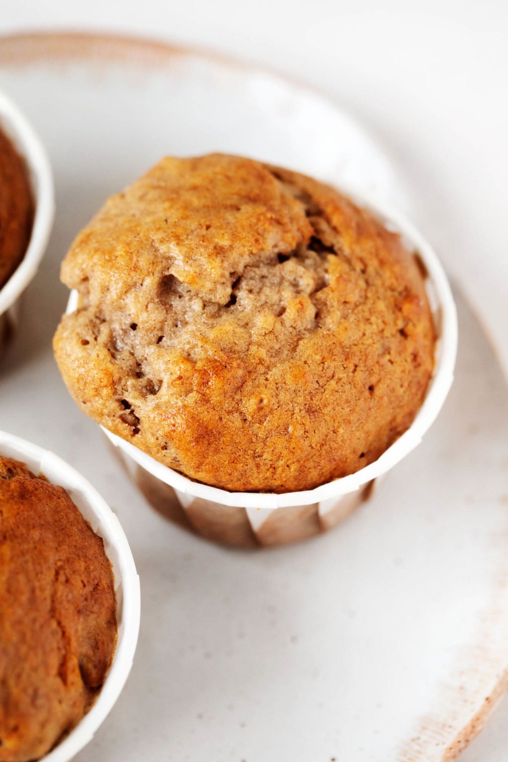 A close up image of a rounded, freshly baked muffin in its liner, resting on a plate.