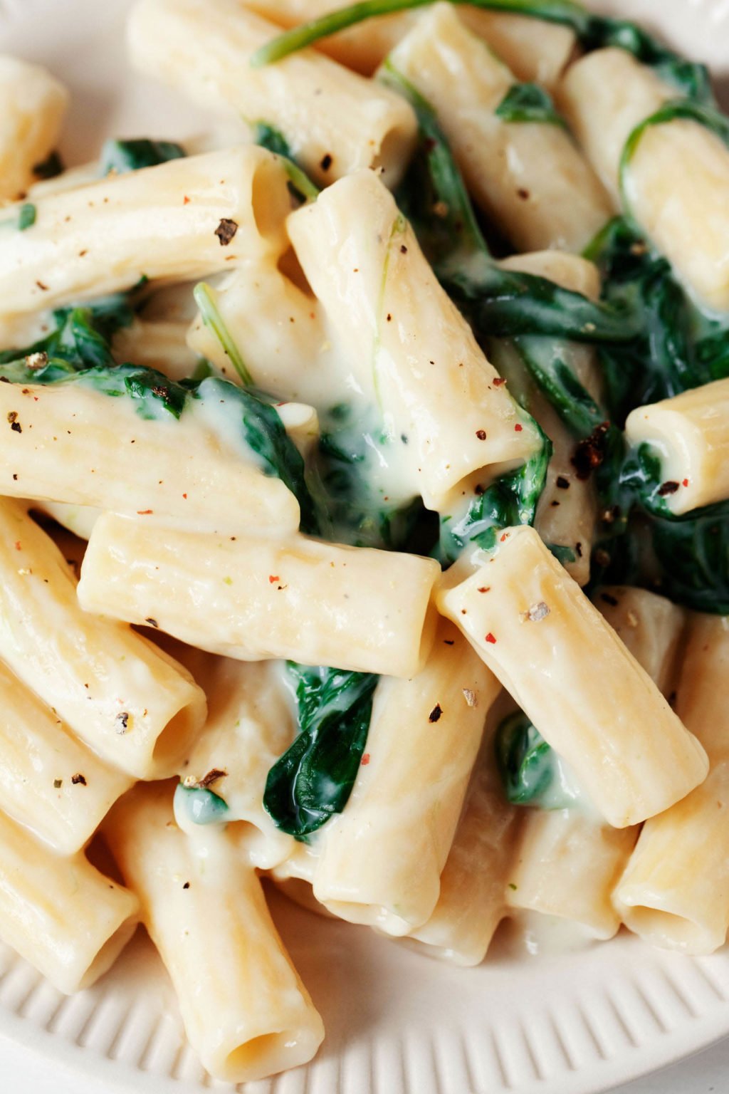 A close up, overhead image of rigatoni that has been dressed with cauliflower Alfredo sauce and tossed with spinach.