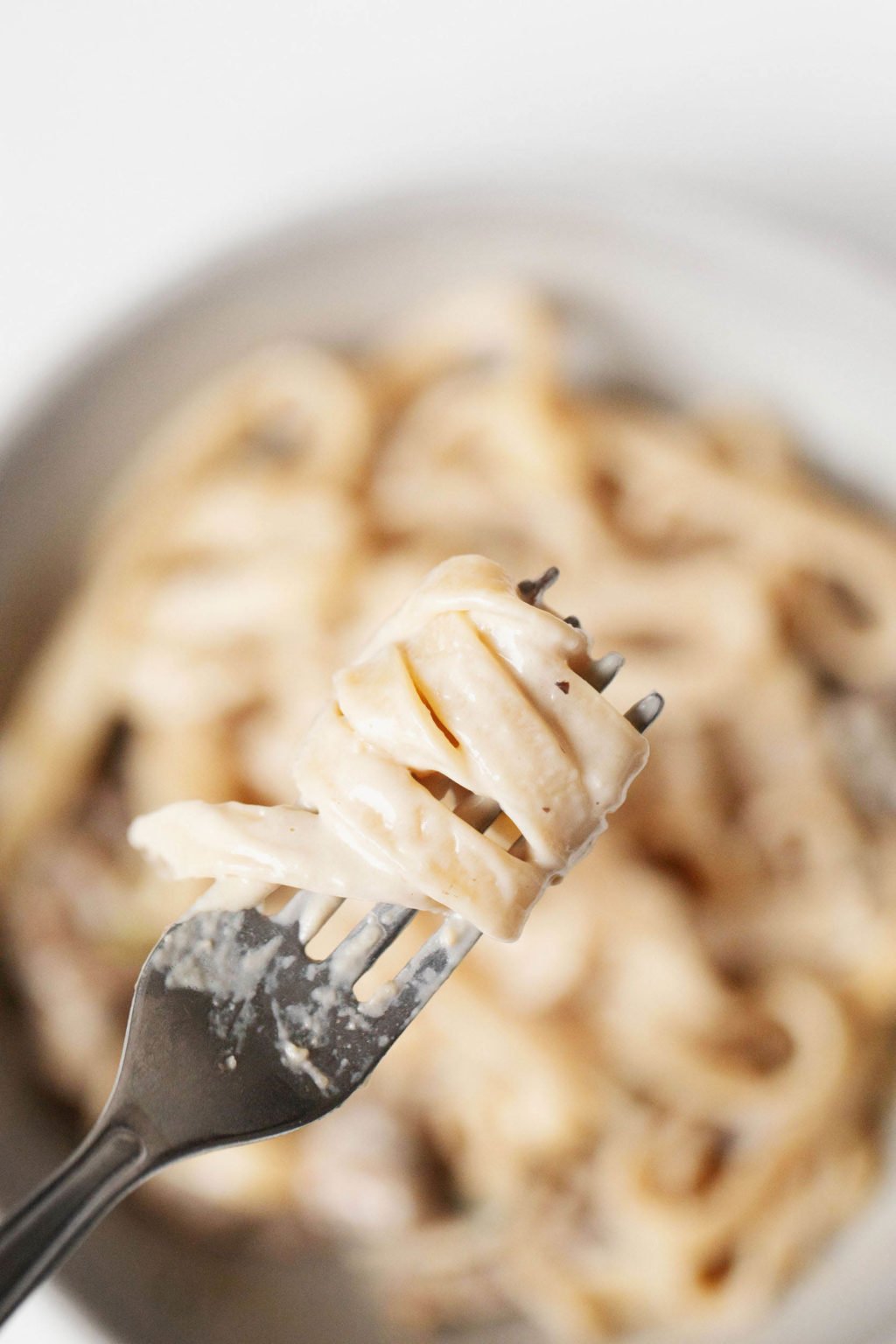 A creamy fettucine dish is being twirled with a fork.