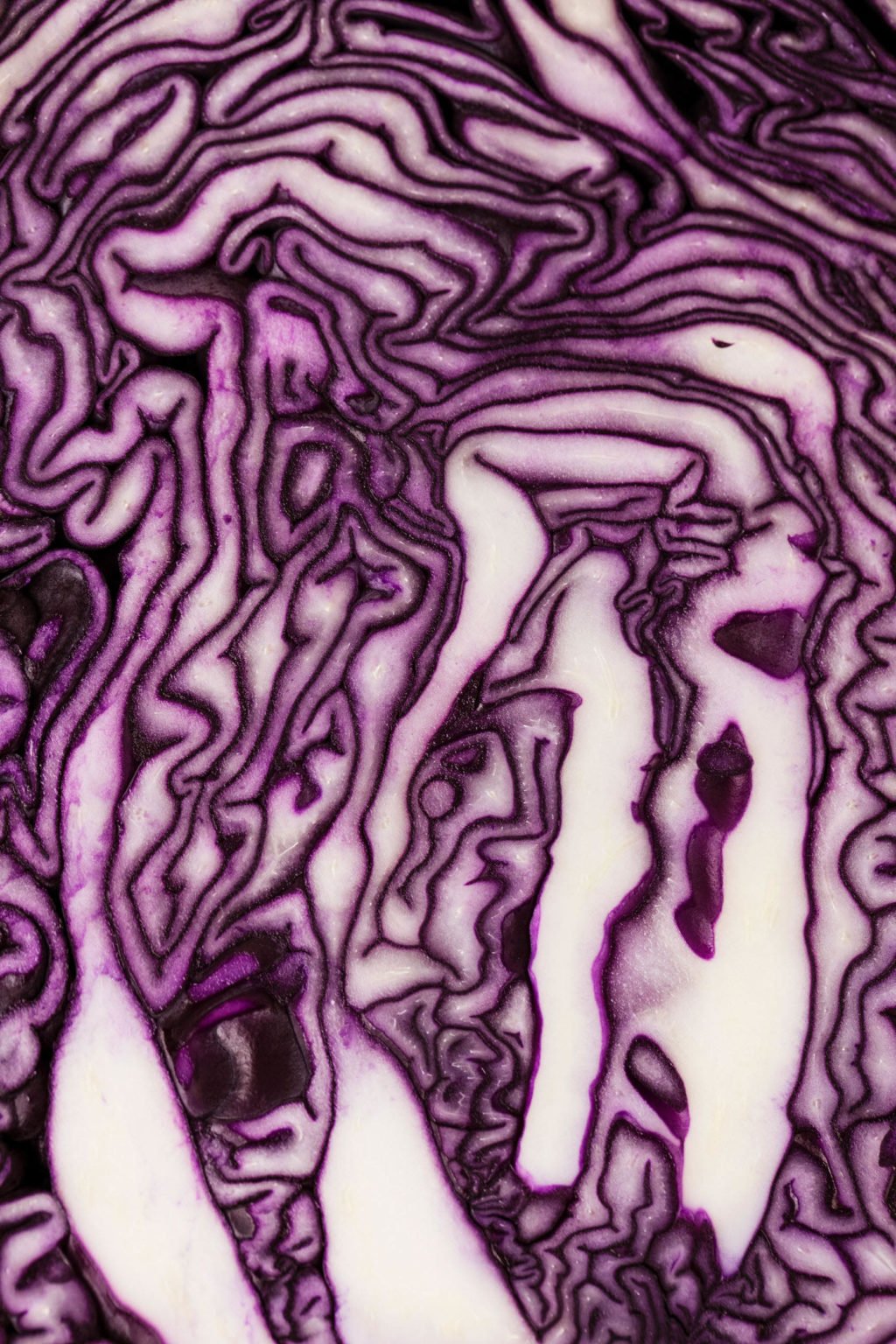 A close up image of a cross-section of cut red cabbage.