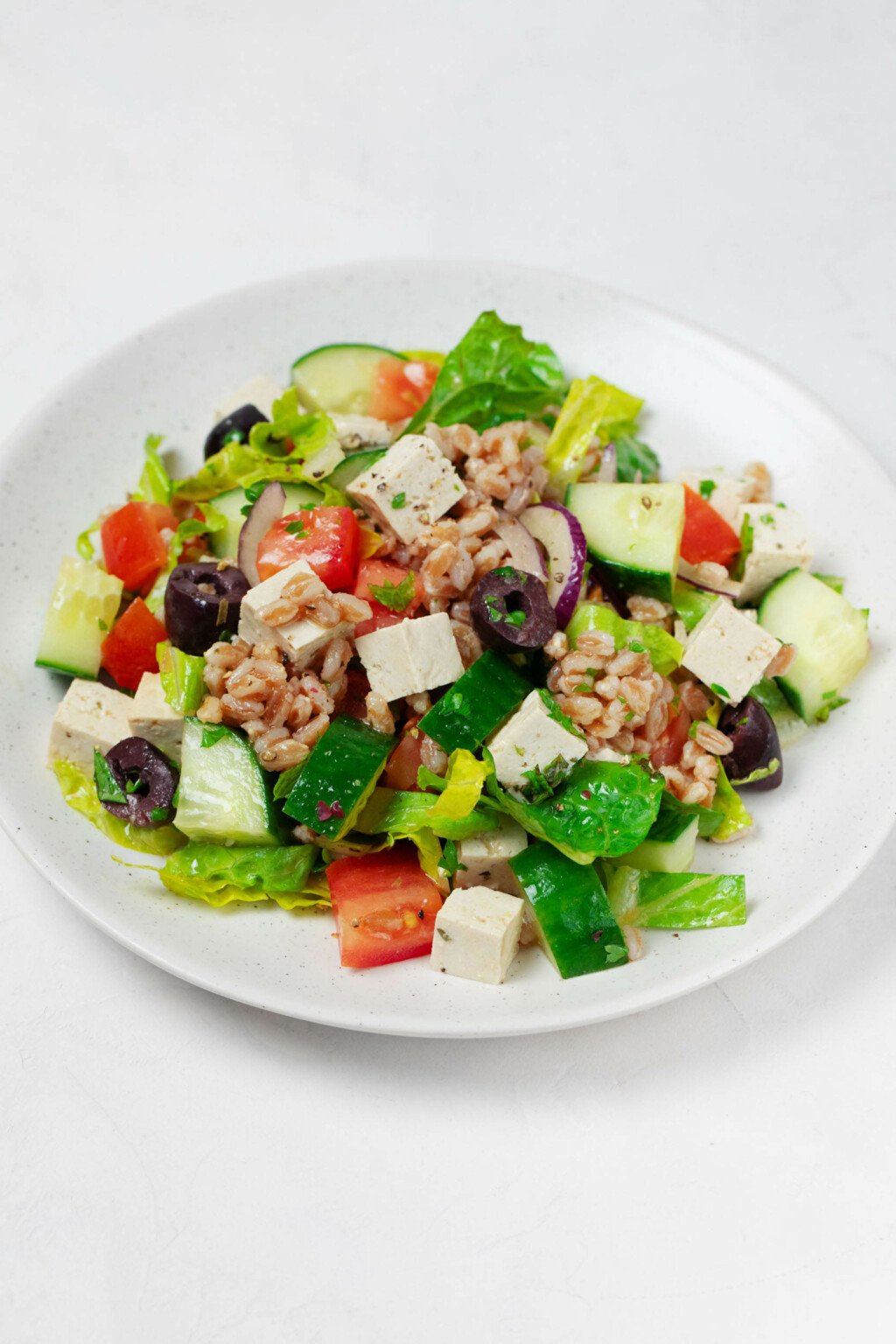 A white, round plate is covered in a colorful, fresh salad with romaine, barley, red onion, and tomatoes.