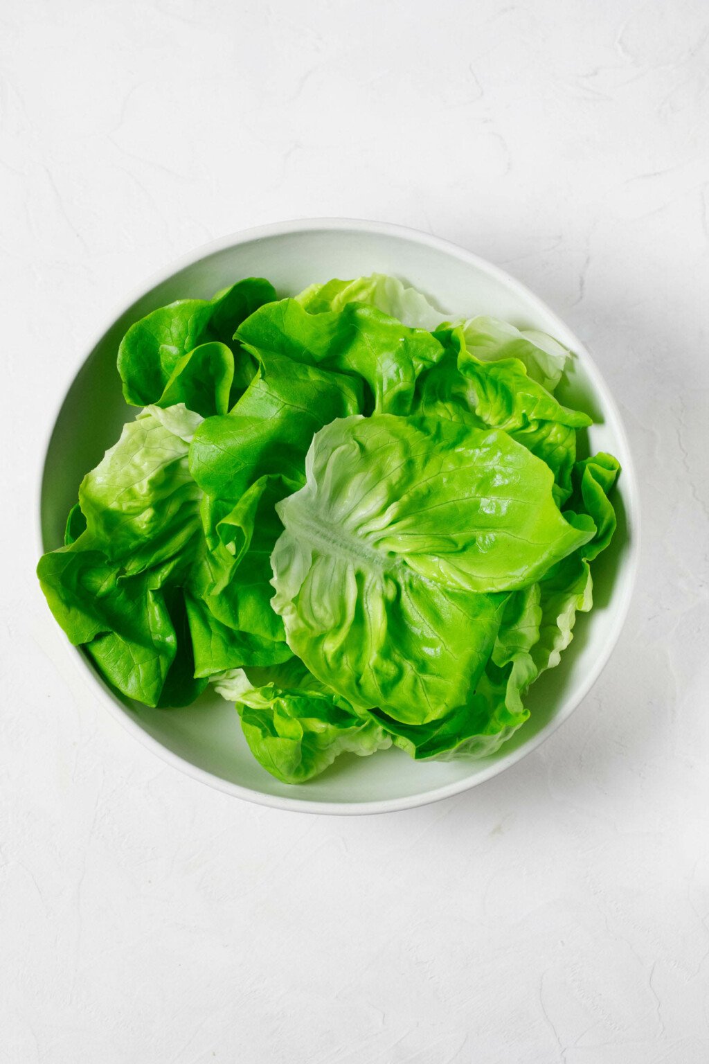 An overhead image of a white bowl, which is filled with bright green butter lettuce leaves.