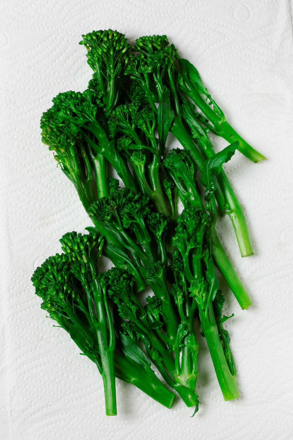 An overhead image of vibrant green, steamed baby broccoli, resting on a white surface.