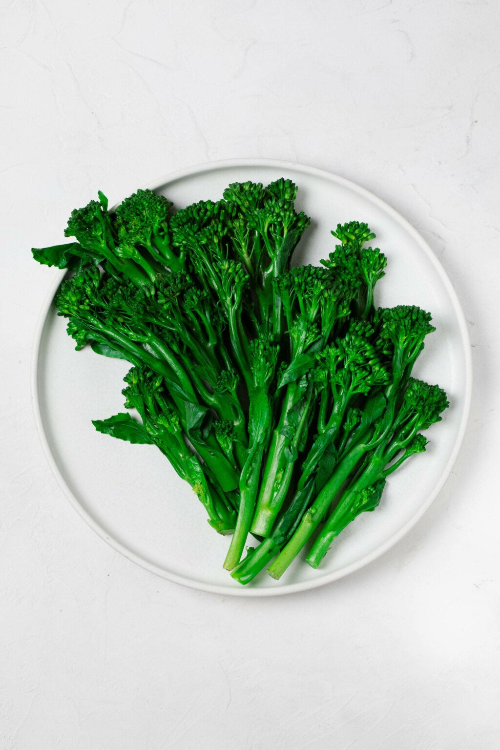 A round, white plate is resting on a bright, white surface. The plate holds bright green, steamed baby broccoli.