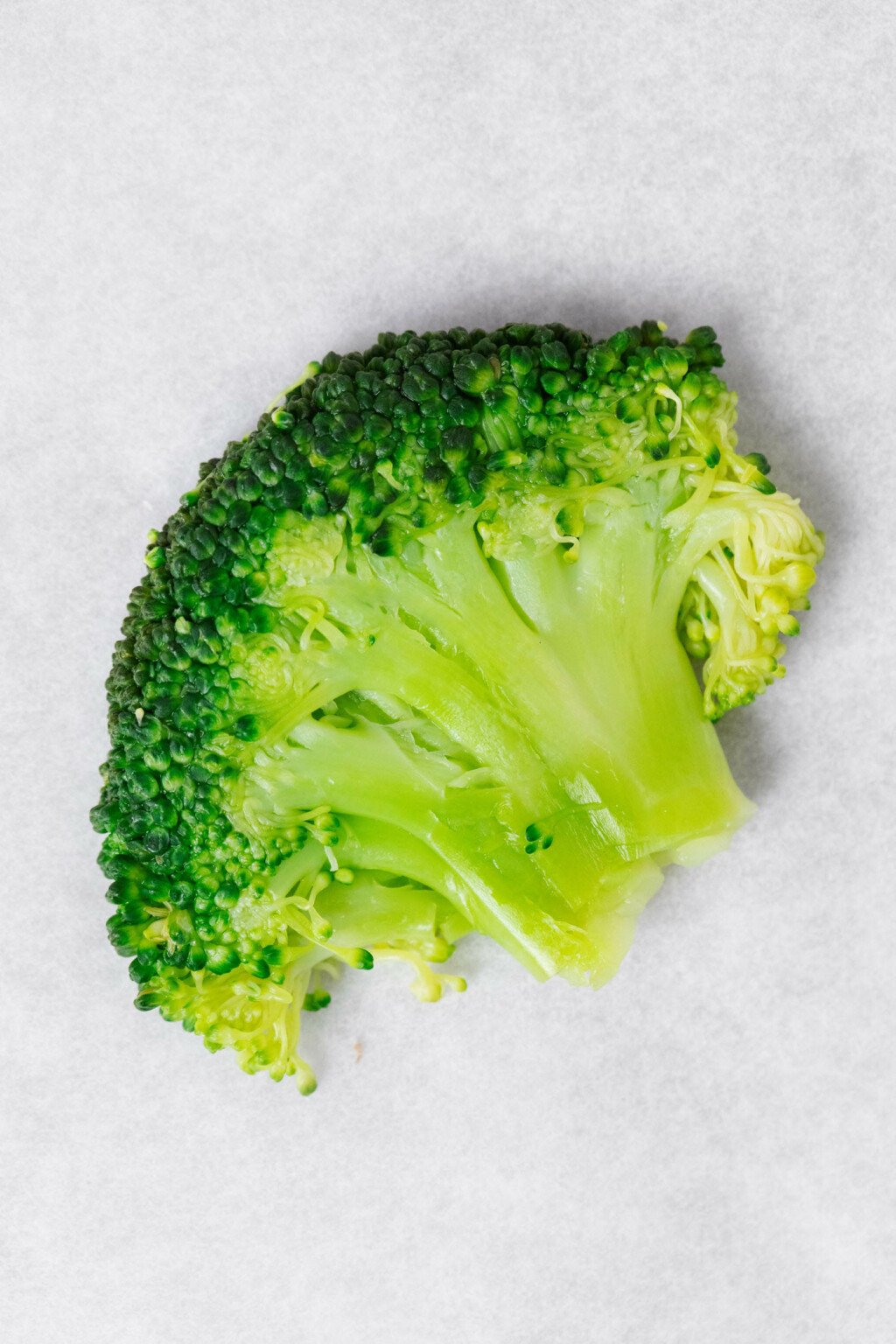 An overhead image of a flattened, bright green broccoli floret on a sheet of parchment paper.