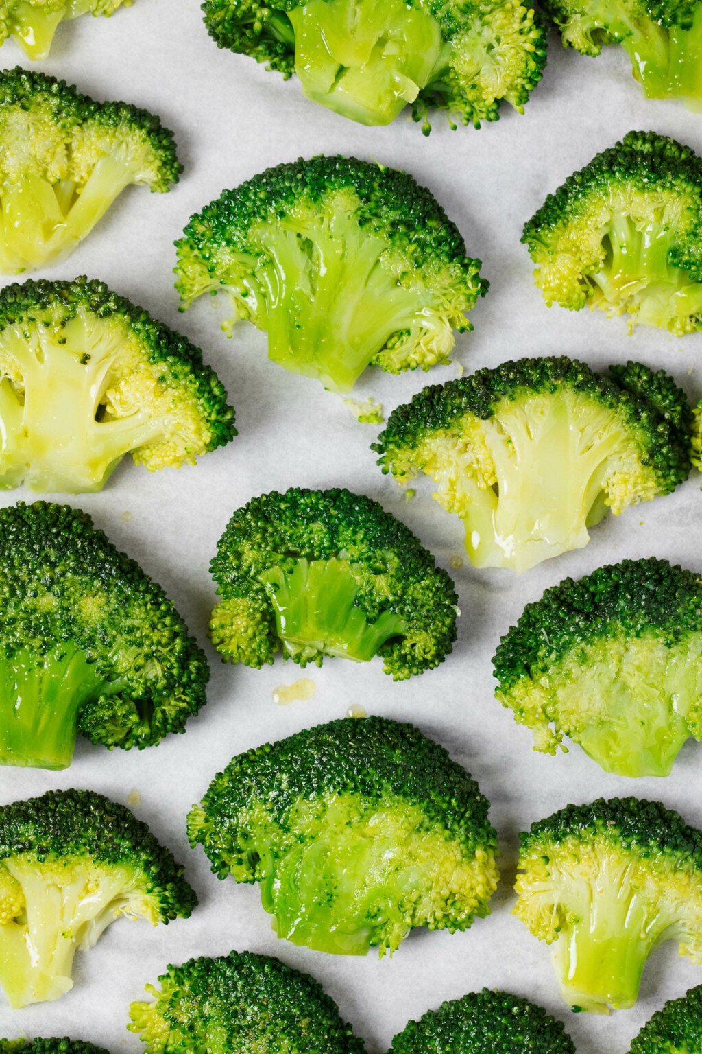 Flattened broccoli florets line a white parchment-lined baking sheet in an even pattern.