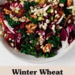 A colorful salad with radicchio, kale, wheat berries and dates is pictured overhead in a round white bowl.